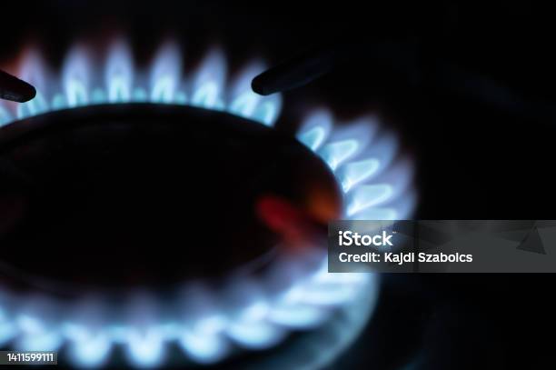 Natural Gas Gas Stove Gasoline Gas Burner Stock Photo - Download Image Now - Blue, Boiling, Burner - Stove Top