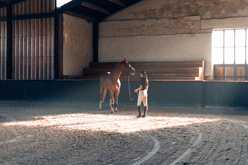 educación y entrenamiento de caballos en interiores en el centro de granja equina - instructora femenina photo