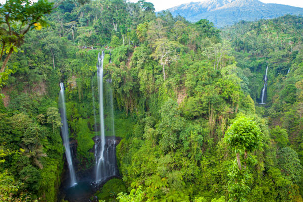 Sekumpul Wasserfall in Nord-Bali Indonesien Haupttouristenattraktion Ziel – Foto