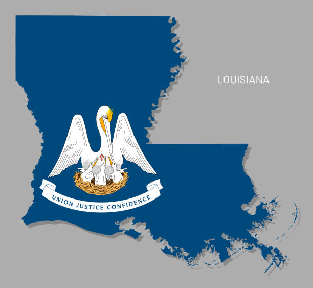 map of louisiana usa federal state with flag inside - louisiana stock illustrations