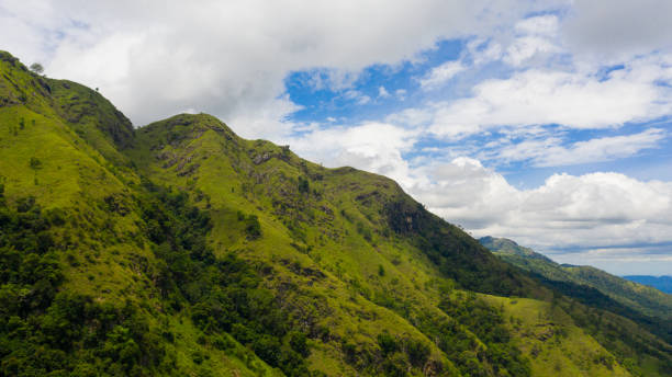 istock Mountain slopes covered with rainforest and jungle. Sri Lanka. 1411611507