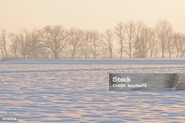Snowscape - zdjęcia stockowe i więcej obrazów Bajka - Bajka, Bez ludzi, Drzewo