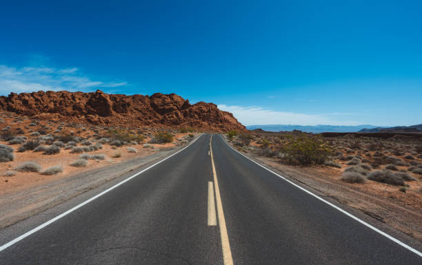 istock Valley of Fire straight road 1411614327