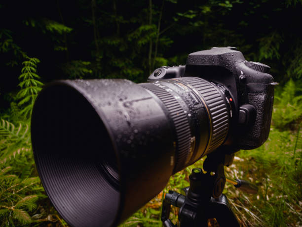 istock camera on a tripod photographed in nature in light rain. 1411619207