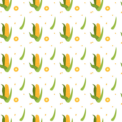 Summer pattern of corn cobs
