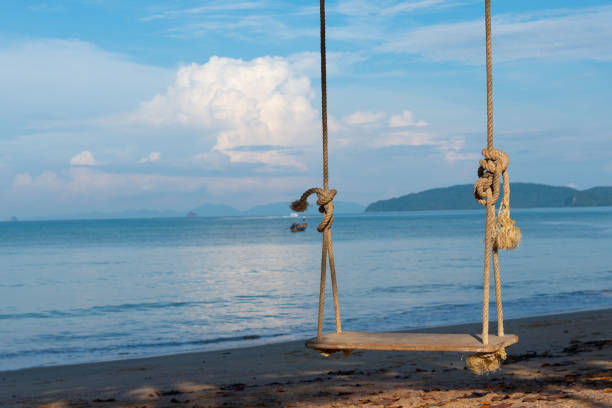 istock Wooden swing on the beach on blue sky background 1411626889