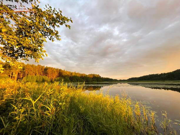 istock Lilaste lake at sunset 1411627491