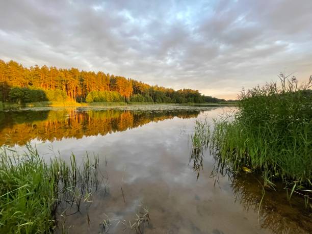 istock Lilaste lake at sunset 1411627517
