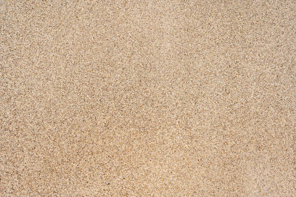istock fine grained sand of a beach as sand texture 1411634276
