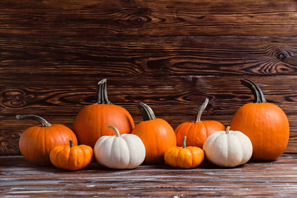 istock Pumpkins on wooden background 1411635532