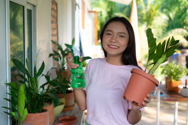 porträt junges mädchen, das grüne pflanzen zu hause gießt, asiatisches mädchen. - crop sprayer front or back yard pest control equipment spraying stock-fotos und bilder