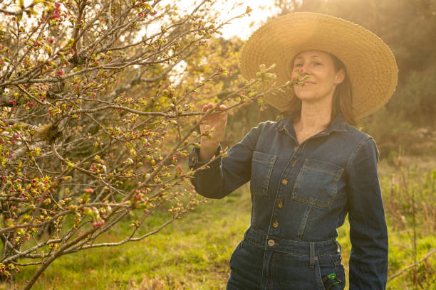 istock Organic farming business 1411639061