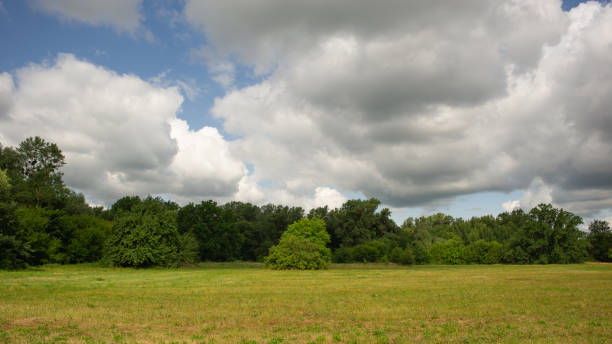 istock Rain clouds on the background of deciduous forest and meadow. 1411640151