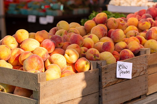 Bushels of ripe yellow summer peaches for sale at a local farmer's market