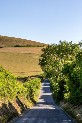 Looking along a country road surrounded by farmland, on a sunny summer's day