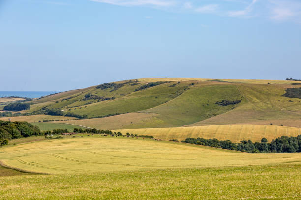 istock An Idyllic South Downs View on a Sunny Summers Day 1411641787