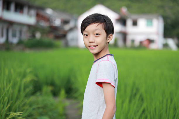 Child hand touching rice crop