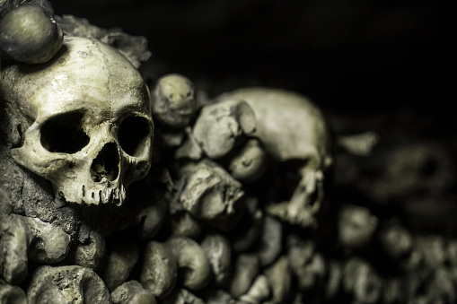 Human skull and bones in a grave.