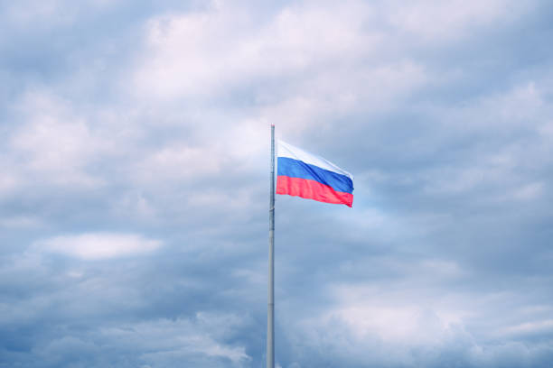 a bandeira nacional russa - tricolored heron - fotografias e filmes do acervo