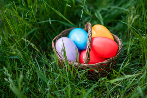 istock Colorful easter eggs in basket on green grass outdoor. Easter background concept. 1411646779