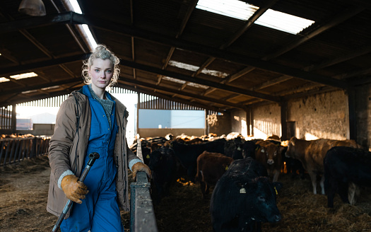 A front view of a female farming apprentice looking into the camera standing on the farm she works at in Northumberland in the North East of England she is holding a pitchfork.