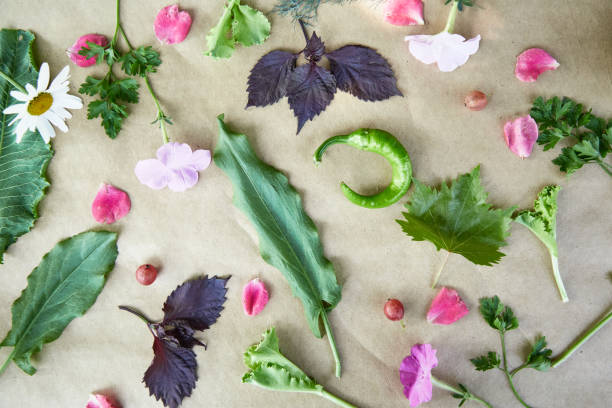 Vegetable frame: beet, basil, eggplant, parsley, bell pepper, hot pepper, potatoes, cucumber, carrots. Italian Vegetable seasonal frame. Italian vegetable recipe. Veganism concept food. Top view