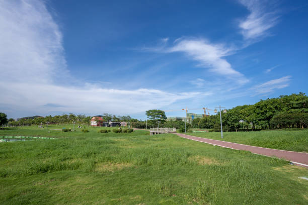 Grassland and woods in Wetland Park under blue sky