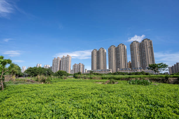 istock Green space and urban skyline in livable cities 1411655673