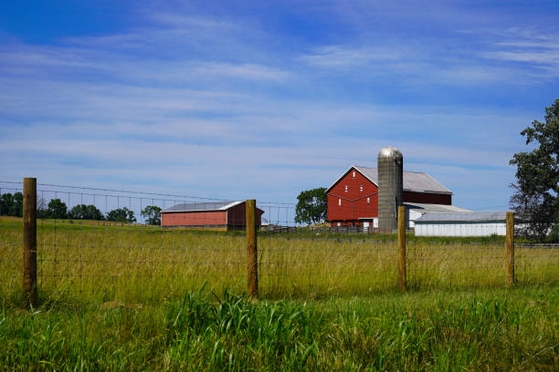 Old wooden barn with vines and leaves on an Autumn day in rural countryside in Pomfret area near Stowe, central VT, USA