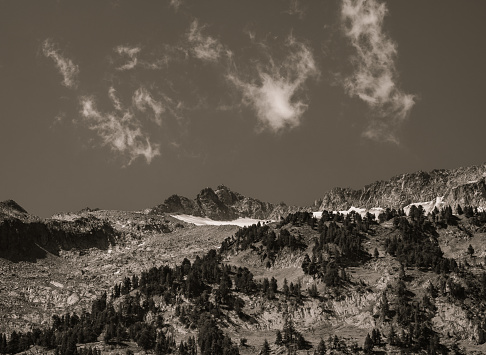 Alpine landscape of the Pyrenees with a mountain in the foreground with trees and green vegetation, another high mountain in the distance with snow and a sky with three clouds. Black and white.