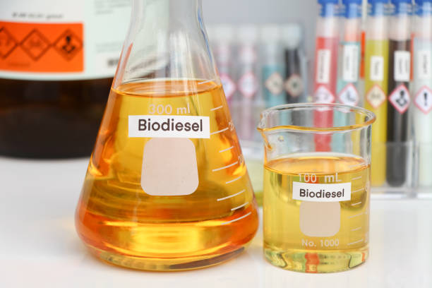 바이오 디젤, 실험실 또는 산업에서 사용되는 화학 물질 - biodiesel 뉴스 사진 이미지