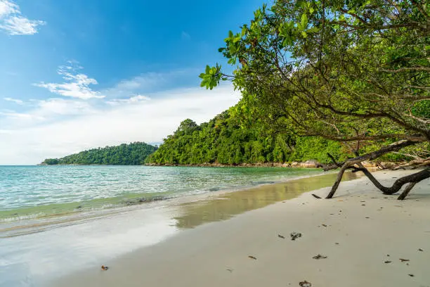 Photo of Beautiful Mai ngam beach in Koh Surin national park, the famous free driving spot in Pang Nga, Thailand.