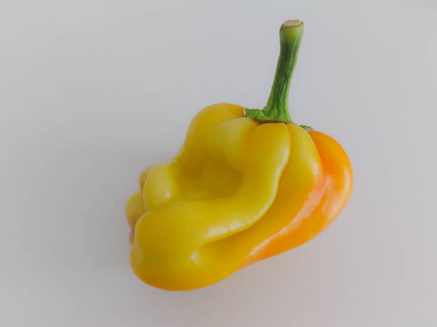 istock Ugly fruits and vegetables 1411665447