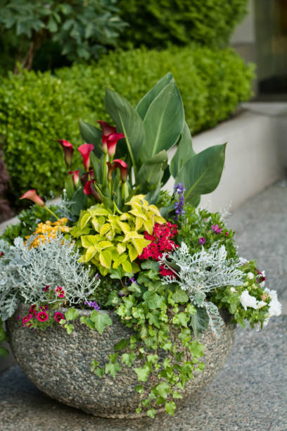 Exposed Aggregate Concrete Planter with flowers background