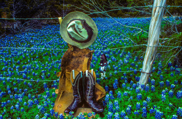 Rural Texas bluebonnet pasture with barbwire fence boots spurs chaps hat