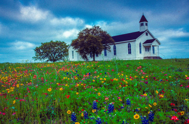 istock Texas wildflower landscape 1411666561