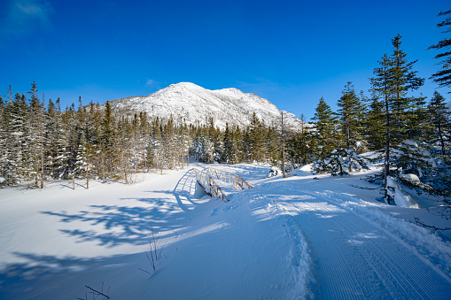 Cross country skiing trail to Xalibu mountain, Gaspesie national park, Quebec, Canada