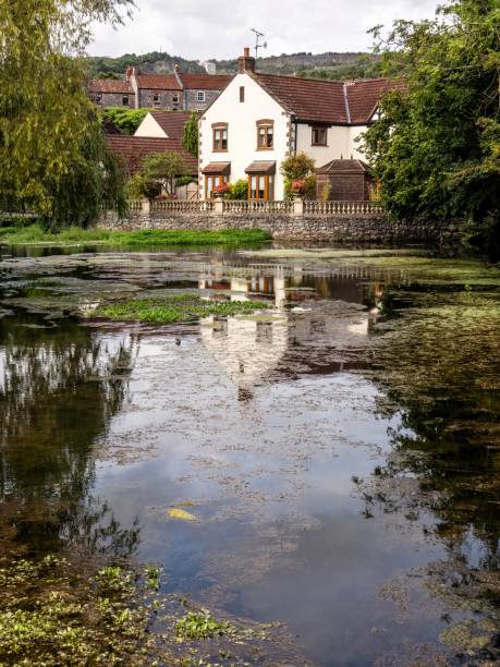 View across Cheddar Yeo in Cheddar,  Somerset, England View across Cheddar Yeo in Cheddar, Somerset, England cheddar gorge stock pictures, royalty-free photos & images