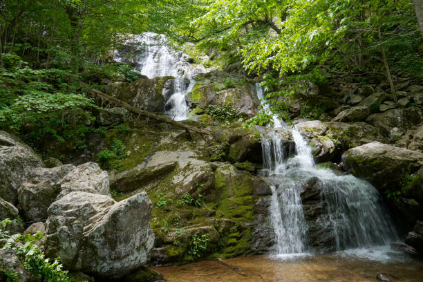 Dark Hallow waterfall in Shenandoah National Park stock photo