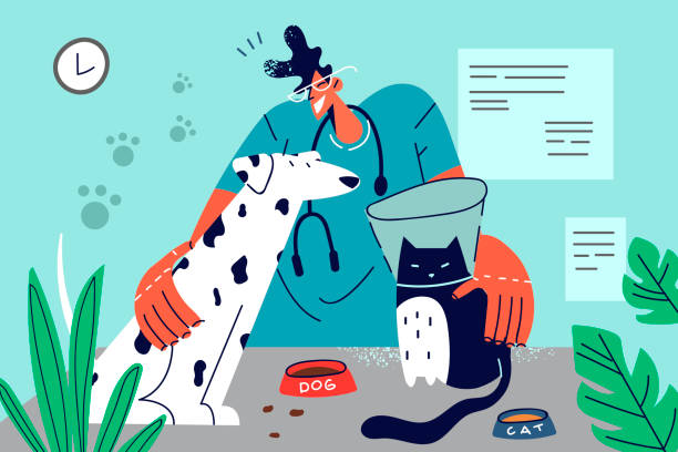 bildbanksillustrationer, clip art samt tecknat material och ikoner med smiling vet doctor with pets in clinic - veterinär, undersökning