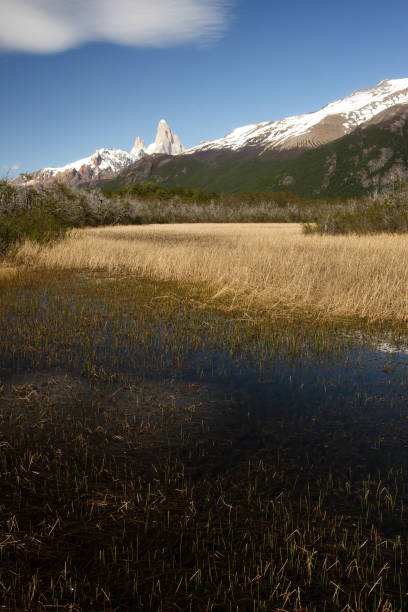 istock Landscape at El Chalten, Argentina 1411677599