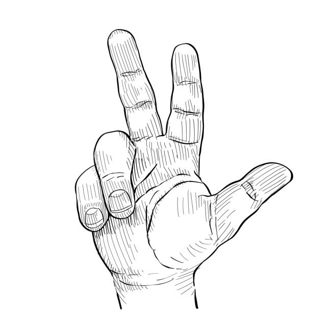 istock Close-up of hand showing three firm, number three dials. Hand language. Black and white vector illustration on white background. 1411681320