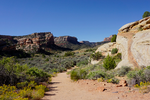 Hiking the Devils Kitchen Trail in Colorado National Monument