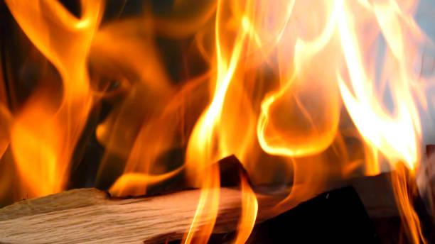 istock burning firewood on the barbecue in nature 1411696685