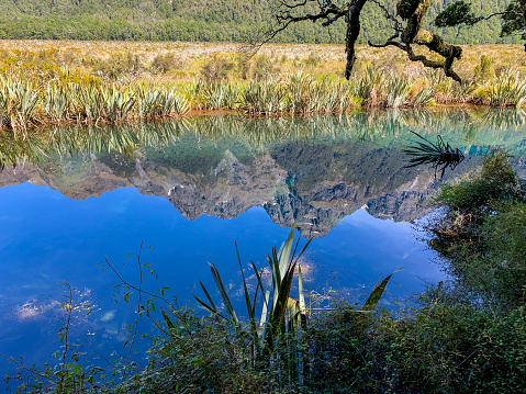 Fiordland National Park. New Zealand.