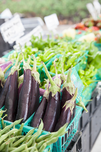 Freshly-picked Japanese eggplant, green beans, and shishito peppers on display at a farmer's market
