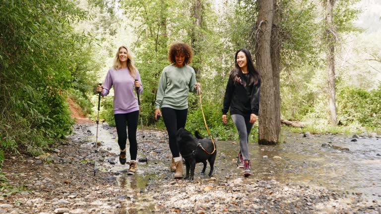 Group of Women Friends Hiking Outdoors