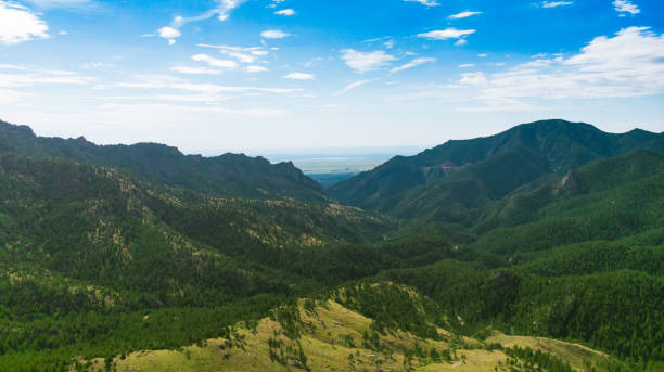 istock Green Mountain Landscape with trees 1411702885