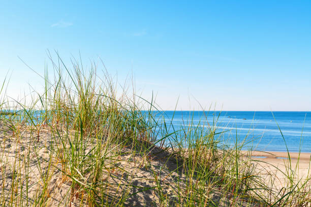 Beach by the North Sea