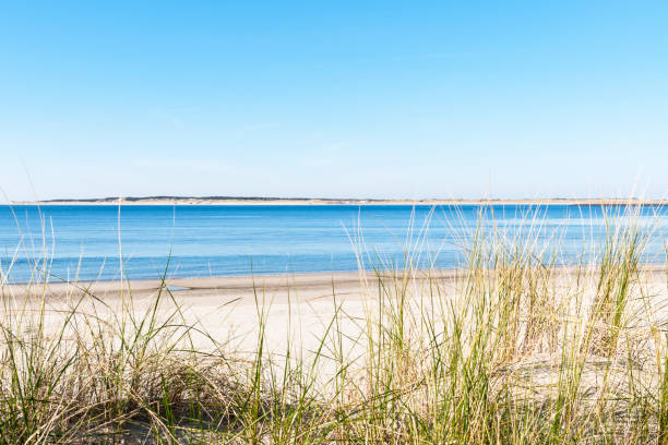 istock View on the beach from the dune, North sea 1411703194